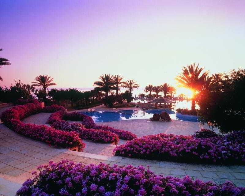Azia Resort & Spa Paphos สิ่งอำนวยความสะดวก รูปภาพ